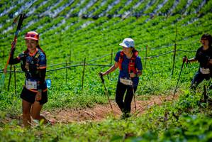 BIB: 1348, 3426
                            <button type="button" onclick="openModal(19164693)" class="btn btn-primary btn-sm float-right btn-popup" data-toggle="modal" data-target=".modal-high-quality">
                        <i class="fas fa-shopping-cart"></i> Add to Cart
                    </button>
                                            <button type="button" onclick="isThisMe(19164693, true)" class="btn btn-success btn-sm float-right btn-popup btn-isme hidden" data-toggle="tooltip" data-placement="bottom" title="นี่คือรูปของคุณใช่ไหม คลิกที่นี่เพื่อเอาเข้าอัลบั้ม">
                        <i class="fas fa-plus"></i> Add to album
                    </button>
                    <button type="button" onclick="isThisMe(19164693, false)" class="btn btn-warning btn-sm float-right btn-popup btn-isnotme hidden">
                        <i class="fas fa-ban"></i> Remove from album
                    </button>